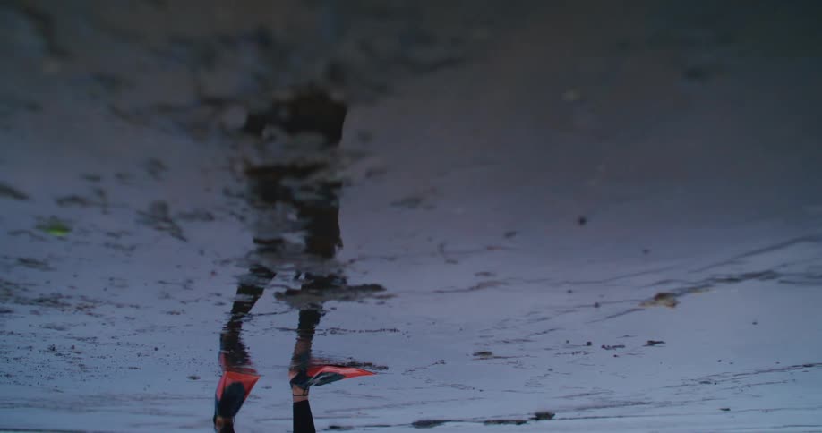 Person with duck piece reflected in wet sand walking