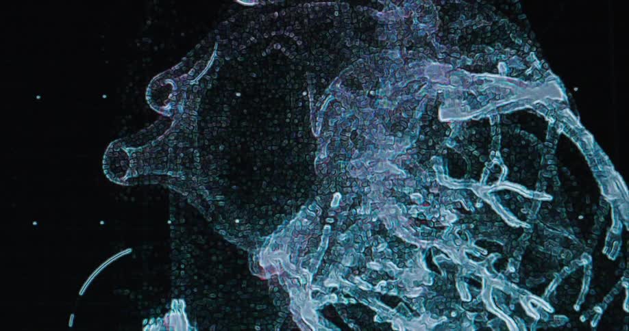 A digital wireframe scan displays the internal anatomy of a human torso