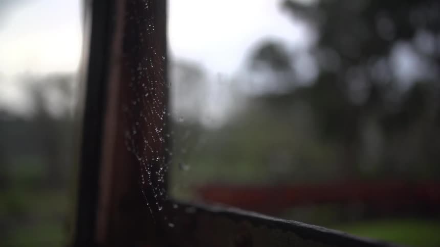 View of a spider web with water droplets on it