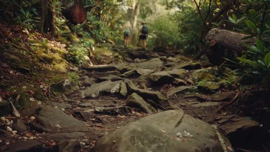 The video shows two lines representing a path or trail the first line is the left edge of the path curving upwards and disappearing into the distance the second line is the right edge also curving up and fading into the forest background