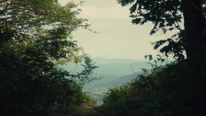 Trail in the wooded mountains