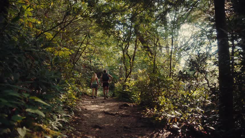 Two people hike along a forest trail in sunlight