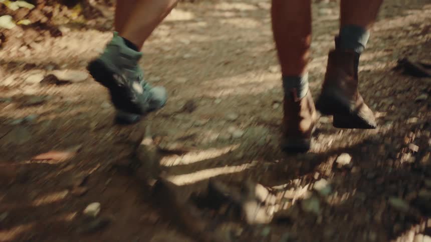 Hikers walk along a rocky dirt trail in a forest