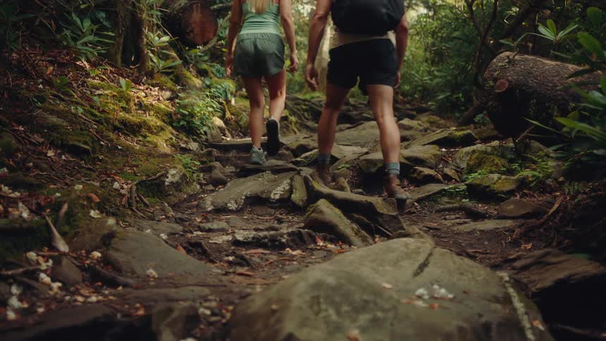 Two hikers make their way up a rugged rocky forest trail their sturdy footwear navigating the uneven terrain beneath a canopy of lush green foliage