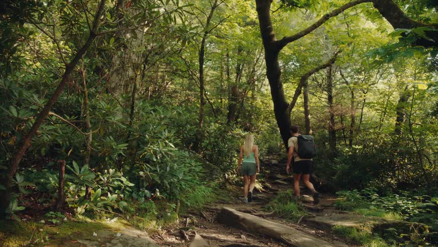 Woman and a man walking through a forest