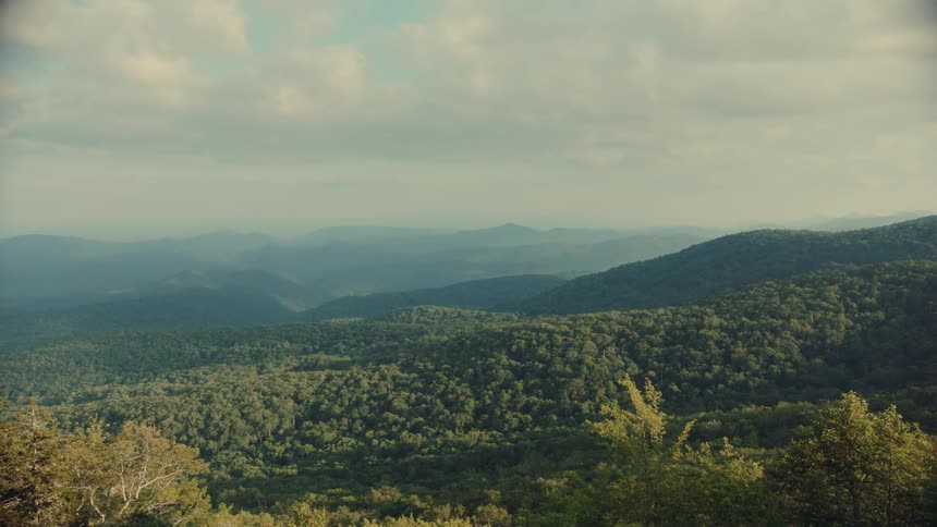 A large land area covered in green vegetation and forest at midday