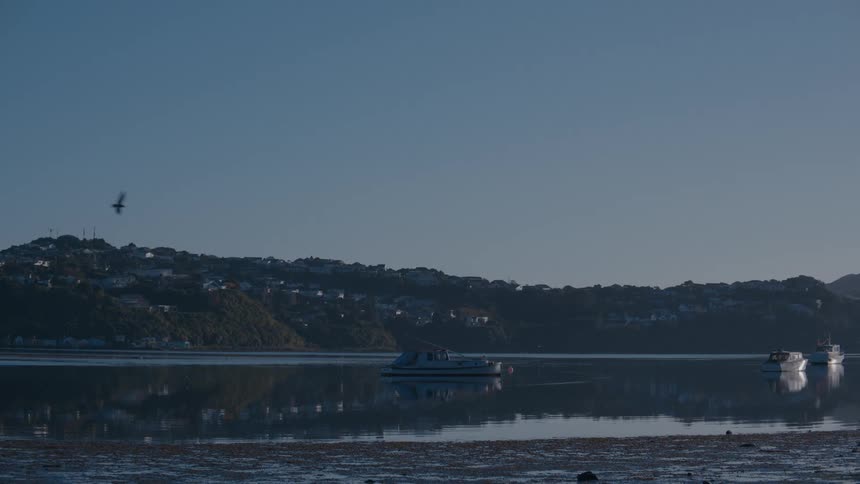 Boats on a calm ocean with mountains and houses in the background