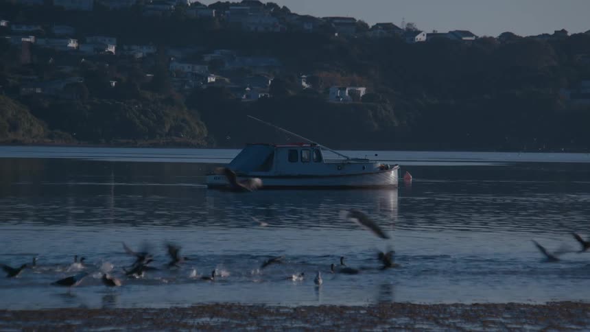 A small boat floats on calm water as birds fly in the foreground