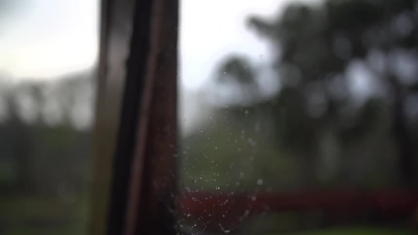 Close up of a spider web on a rainy day