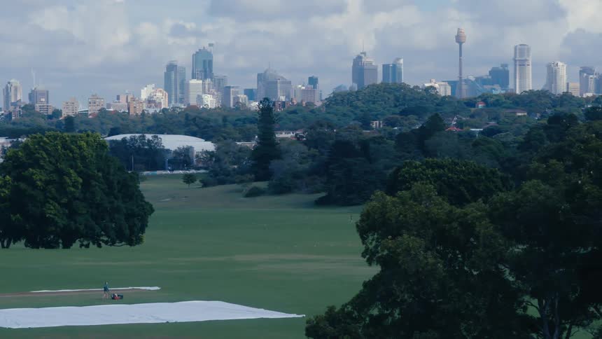 Treelined park in the foreground and a panoramic view of skyscrapers in a metropolis in the background