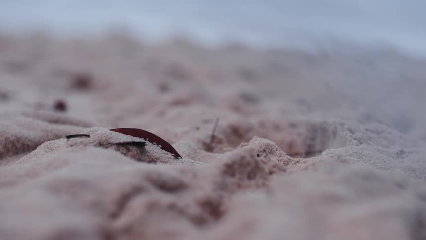 Closeup of beach sand seen during the day