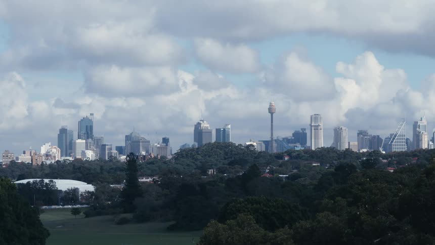Treelined park in the foreground and skyscrapers of a metropolis in the background