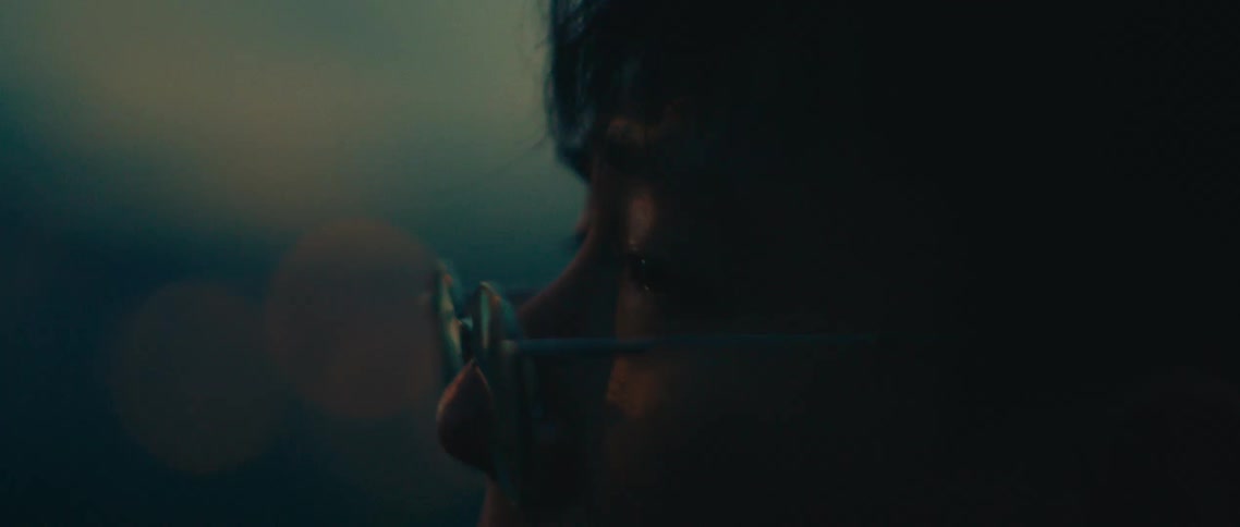A person gazes thoughtfully into the distance as twilight falls