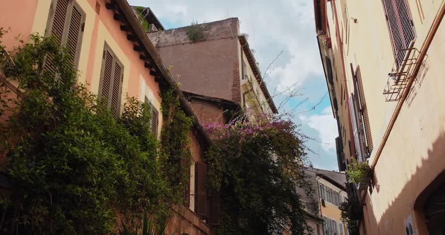 Narrow street between old buildings with colorful facades and plants on the walls