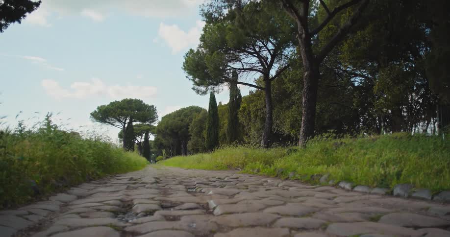 The video shows a lowangle shot of a cobblestone path lined with trees specifically tall pine trees and cypress trees the path is rough and uneven with green grass and foliage growing on both sides the sky is partially cloudy and the scene is wellli