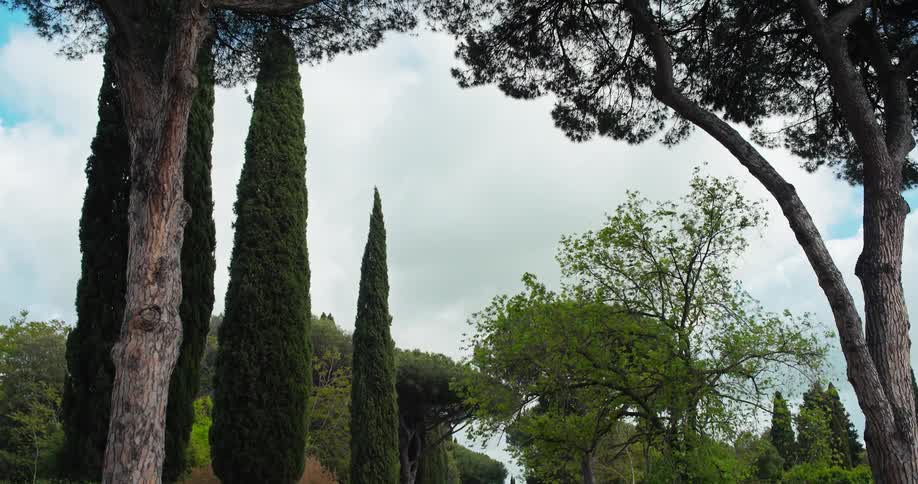 Cobblestone path surrounded by tall trees and greenery with people walking in the distance
