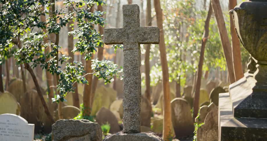 The sun is shining on the graveyard