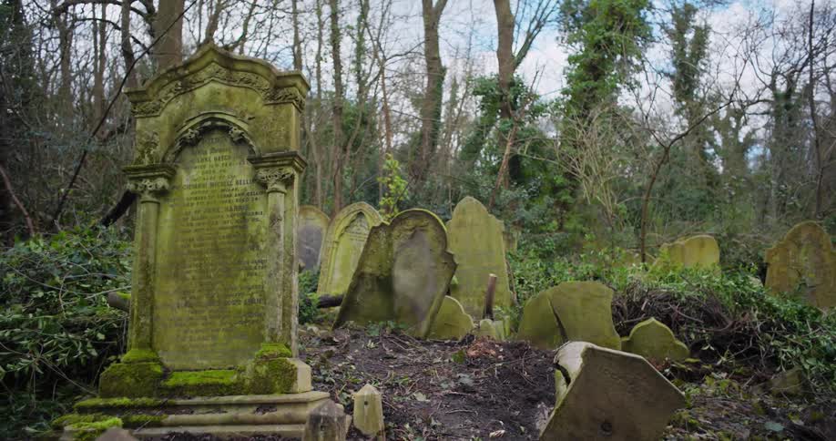 The video shows an eerie and overgrown graveyard with a number of old mosscovered headstones and monuments the headstones are of various shapes and sizes some are intact while others are broken and tilted tall bare trees and dense foliage create a s
