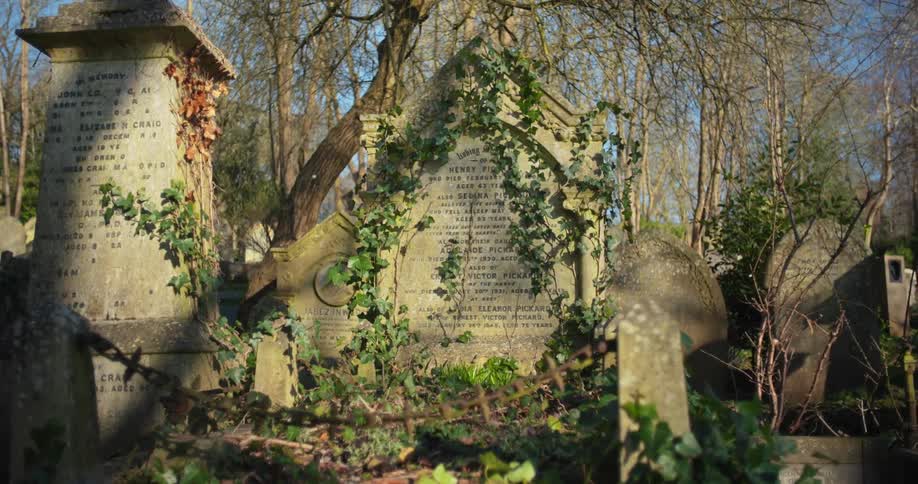 The video shows an overgrown and densely vegetated graveyard with several old tombstones one large prominent gravestone is covered in ivy and has text inscribed on it while another broken headstone lies in the foreground the sunlight filtering through