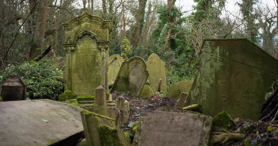 Old mosscovered tombstones in a cemetery surrounded by trees