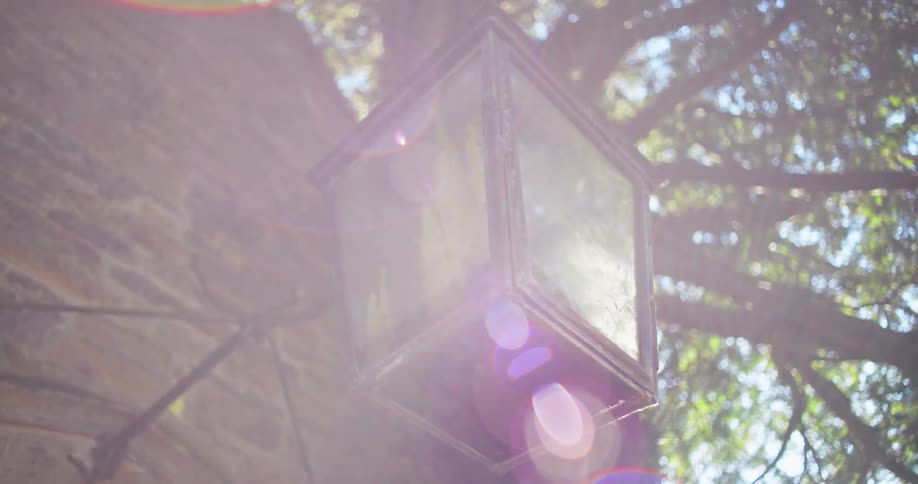 Classic lamp in an outdoor area with trees
