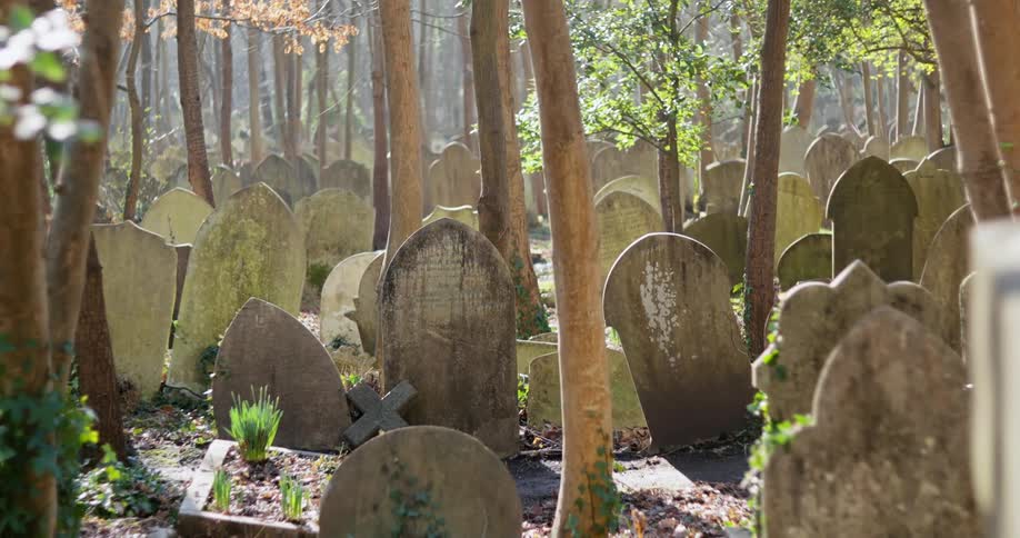 Multiple headstones in a grave yard outdoors during daytime