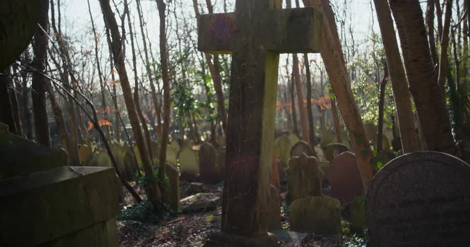 A cemetery filled with numerous tombstones surrounded by trees at midday