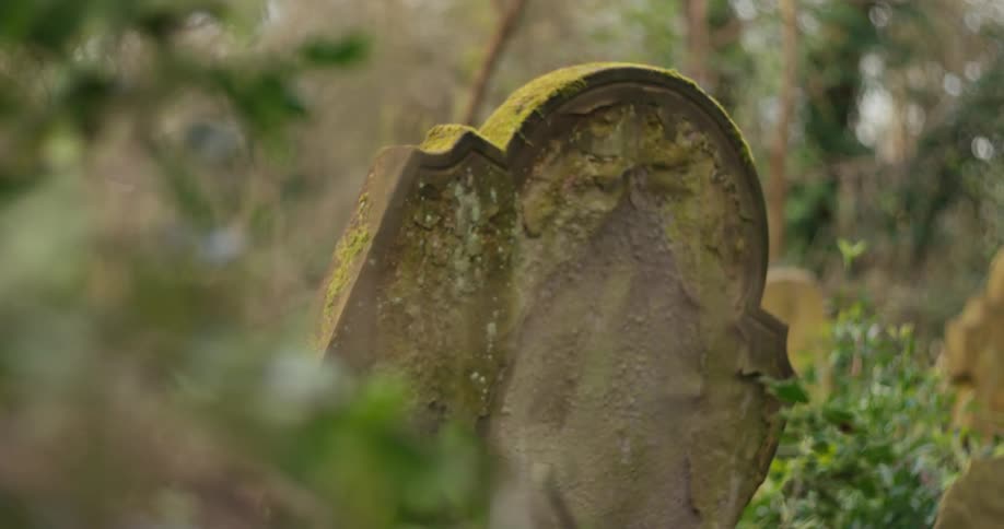 Old mosscovered gravestone in a cemetery surrounded by vegetation