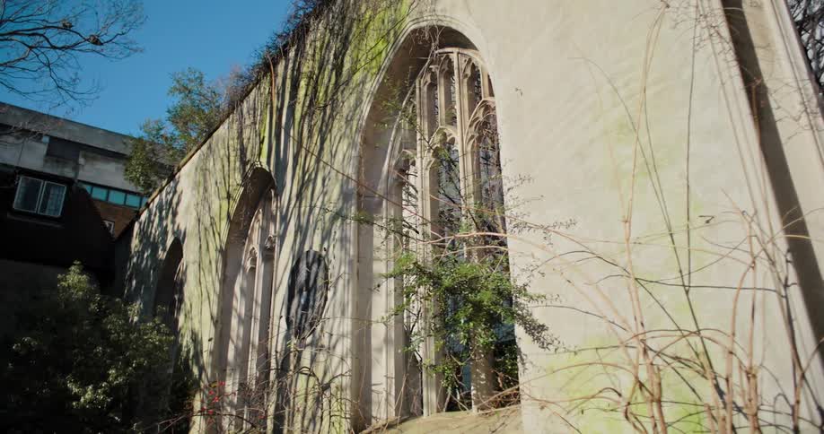 Exterior architecture of aged ruins with trees