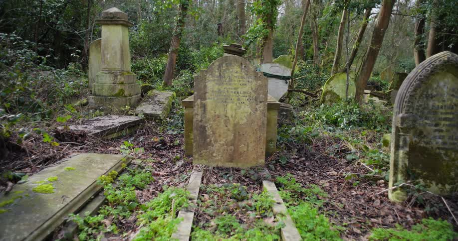 The video shows a path through a dense and overgrown graveyard with multiple old tombstones visible a large prominent and mosscovered tombstone stands in the foreground the path is covered in fallen leaves and foliage adding to the eerie and abando