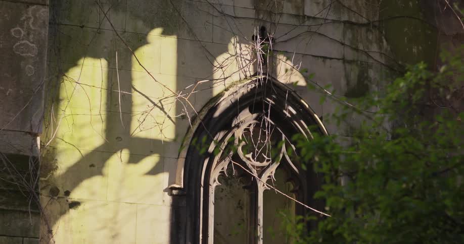 Ruined gothic window is illuminated by the shadow of a tree cast on the wall