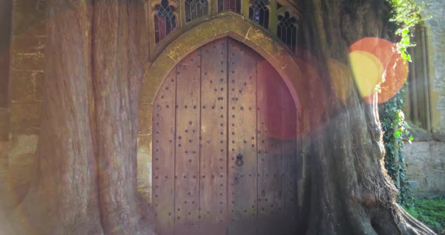 Old wooden door with metal studs framed by a stone arch and flanked by thick tree trunks