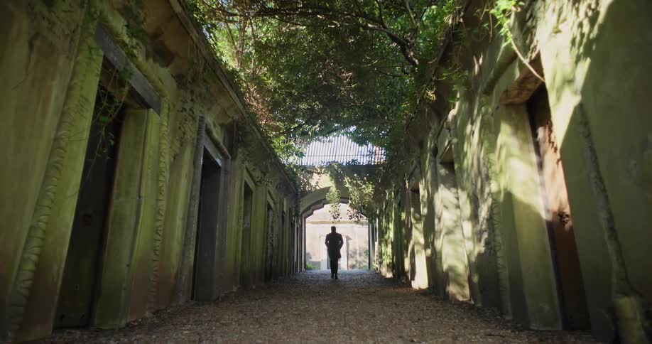Person walking down a narrow street with classical architecture and surrounded by trees