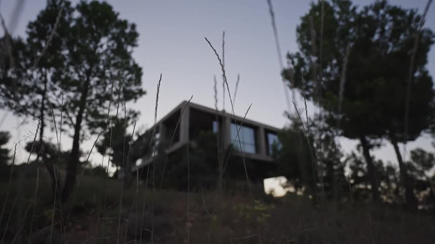 Modern concrete house with large windows seen through dry grass and trees at sunset