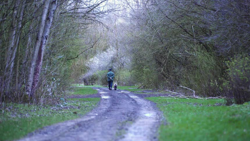 A man and his dog walk along a trail