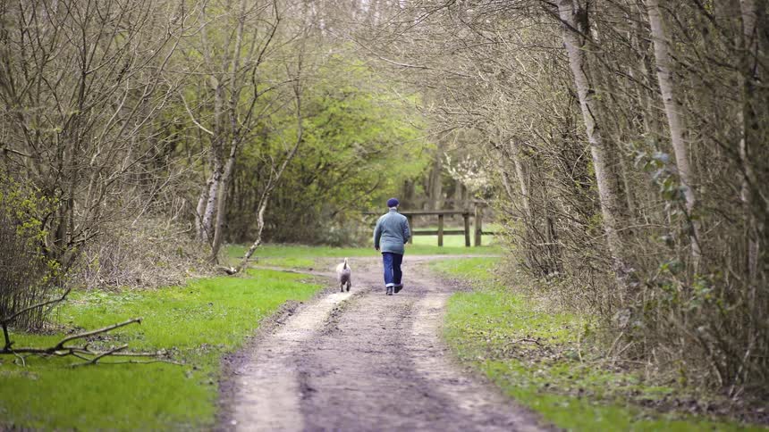 A man in a teal jacket and dark pants walks down a dirt path surrounded by trees with bare branches and newly budding leaves as his dog trots along the grassy edge beside him