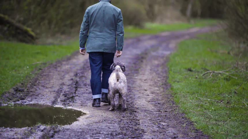 Dog walking along a trail and walking with an elderly gentleman