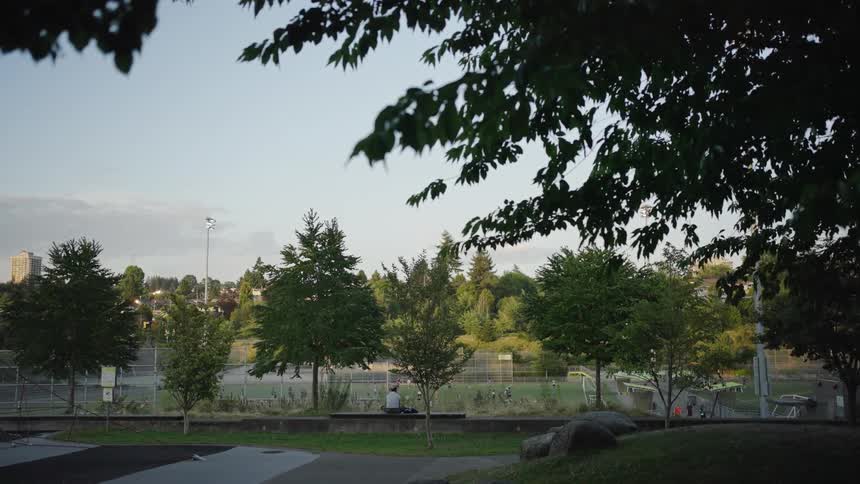A group of people are playing in the park at magic hour