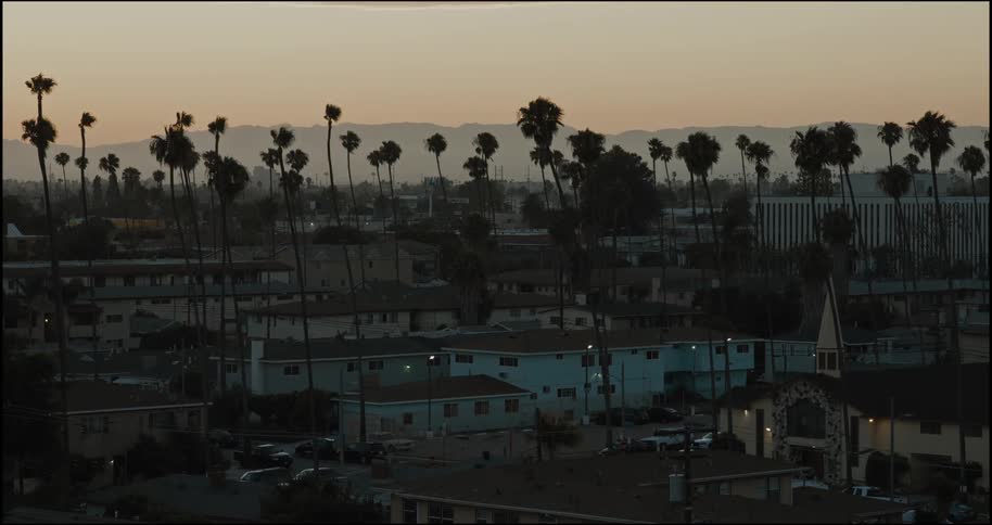 Palm trees tower over a quiet suburban neighborhood at dusk with mountains faintly visible in the distance
