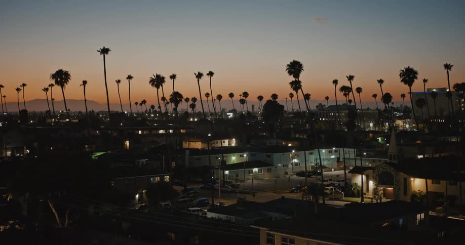 A city filled with palm trees at nighttime