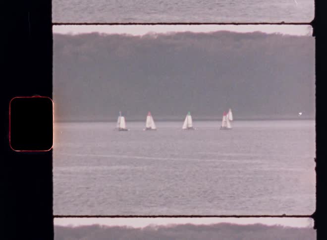 Group of sailsboats sailing on a lake