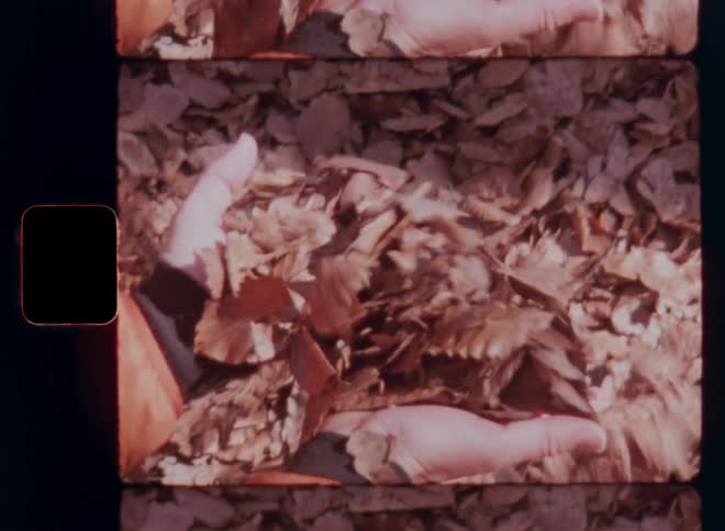Hands joyfully toss a pile of dry autumn leaves into the air framed in warm nostalgic film tones