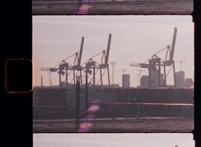 Four towering cranes stand along a shipping port silhouetted against a hazy skyline at sunrise or sunset
