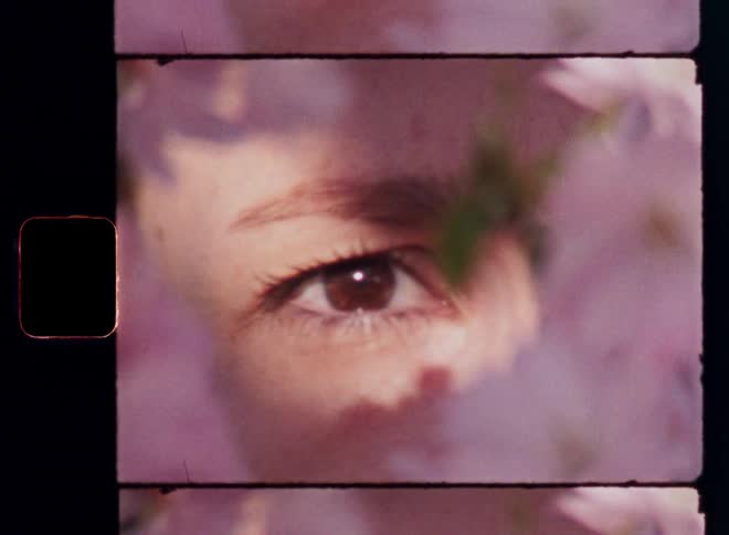 Hard sunlight shines onto the dark brown eye of a woman as she blinks while the petals of the pink flowers move in the slight wind or breeze on a mild springtime or summer morning on vintage S8 film