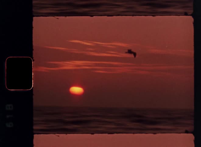 A seagull flies across the center of a hazy sunset over a calm ocean with a bright orange sun visible on the horizon all framed by dark film borders