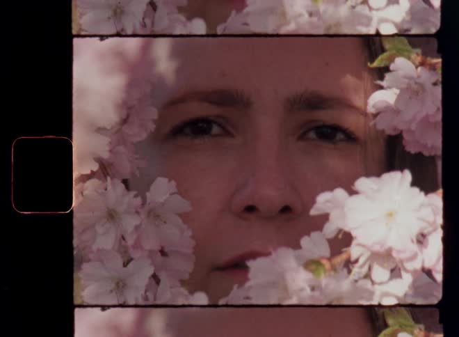 Teenage girl or young womans face framed by cherry blossoms as her eyes and mouth appear with a determined and self-confident expression and an arty look and vintage fashion vibe