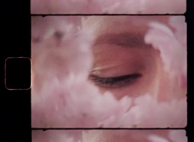 Close-up macro portrait of a female brown eye opening and closing while staring at the super 8 camera in a determined and captivating way surrounded by blooming flowers with pink white petals and soft dreamy look