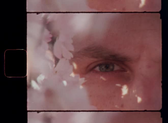 Close up of a young mans face as he stands outdoors behind a flowering plant during daytime and his green eyes look at the camera and the sunshine creates shadows of the moving flowers on his skin