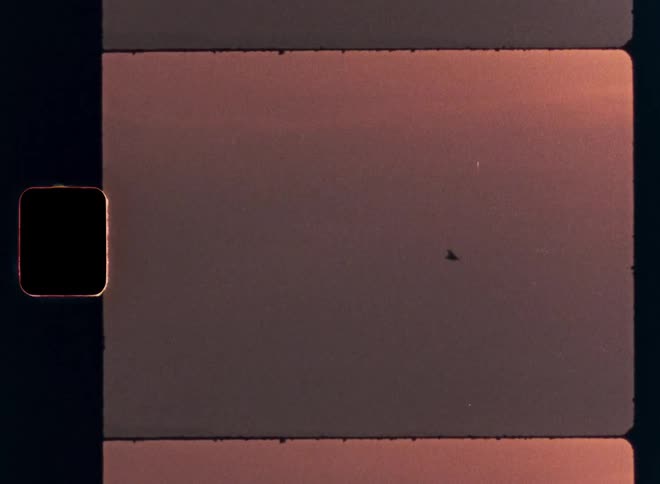 A hazy orange glow casts over the ocean in a grainy film frame with a tiny distant bird