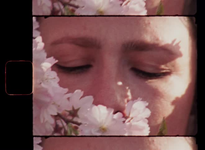 Brown eyes of a beautiful young lady peer through pink flowers in a nostalgic closeup as the shadows of the blossoming branches cover her soft facial skin and the warm springtime sun shines onto her face